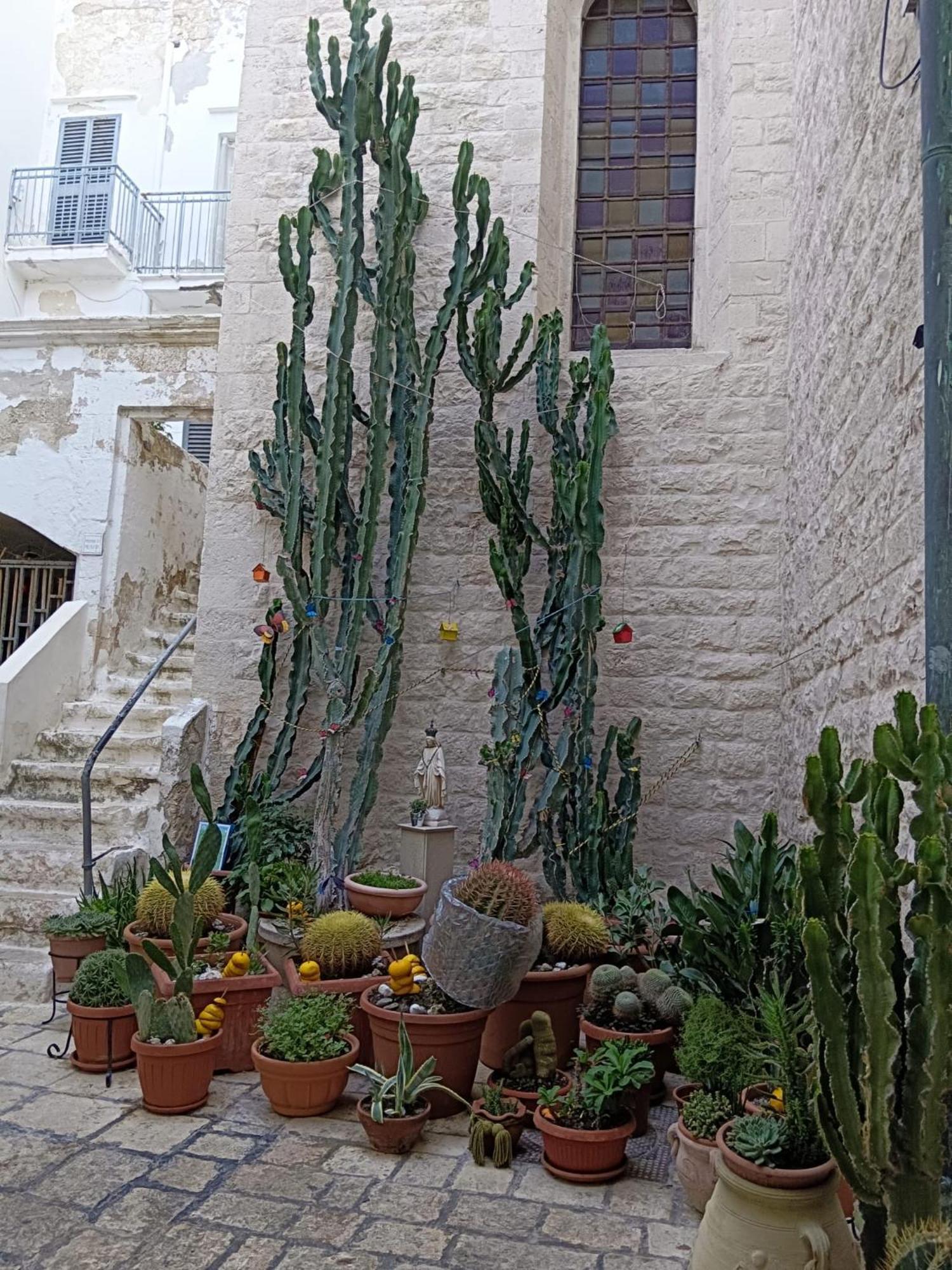 Palazzoliva - Luxury Boho Chic Guest House In The Historic Heart Of マルティナ・フランカ エクステリア 写真